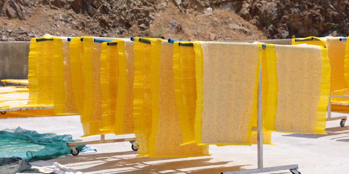 kahramanmaras-tarhanasi-2