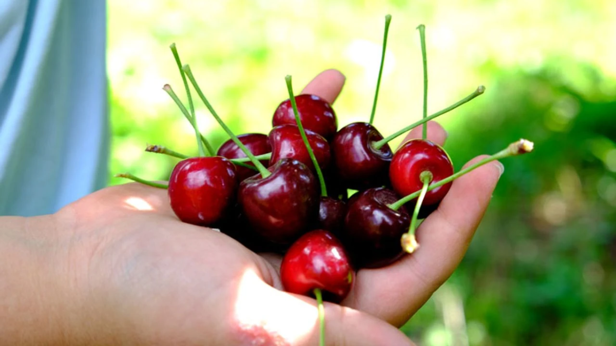 resim-2025-07-15-021408044