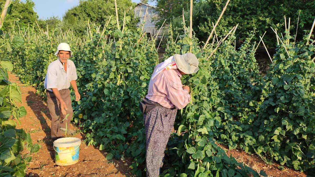 resim-2025-07-15-022104313