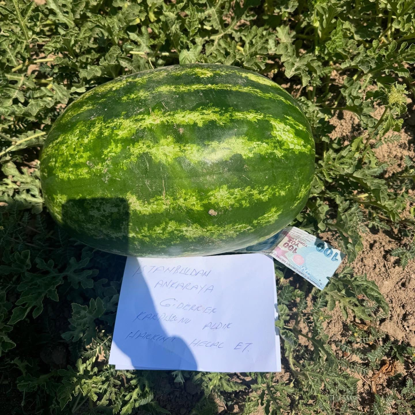 resim-2025-07-15-150024241