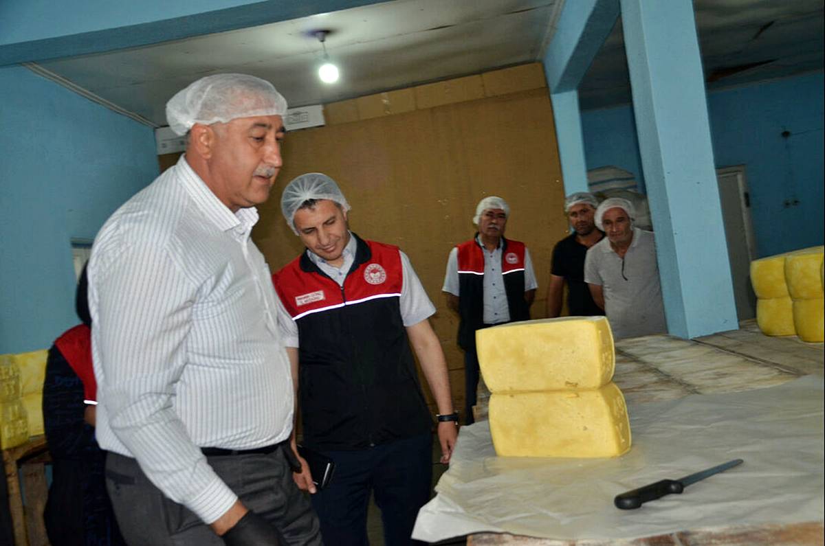 mus-cografi-isaretli-eski-kasar-peyniri-2