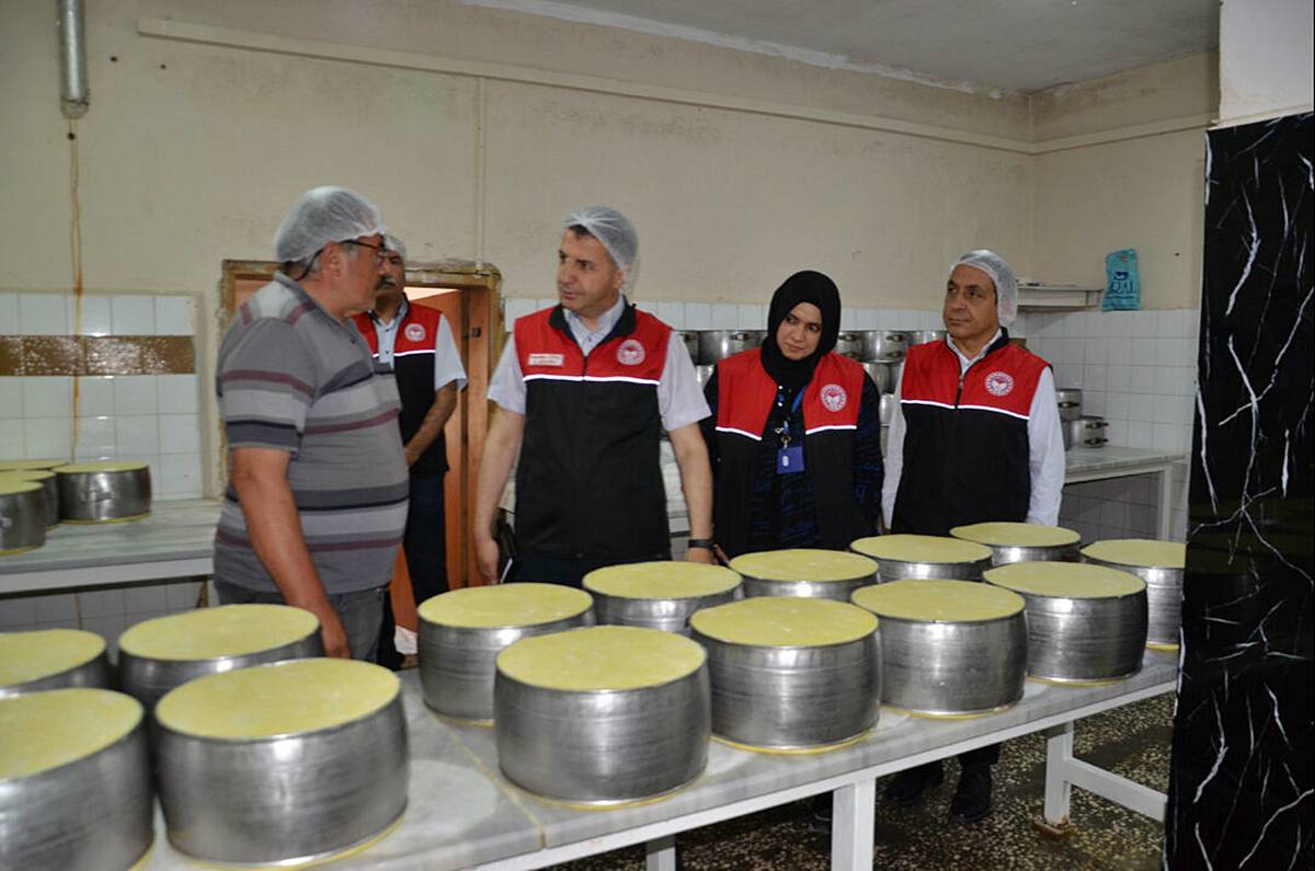 mus-cografi-isaretli-eski-kasar-peyniri-4