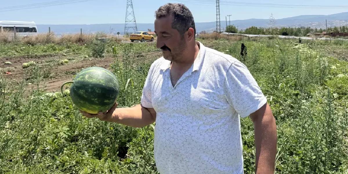 tokatta-karpuz-1