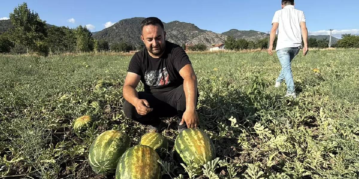 tokatta-karpuz-3