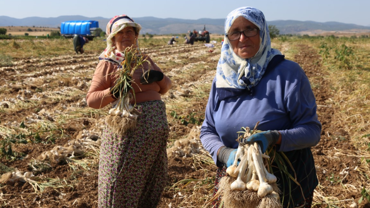 resim-2025-07-17-012229538