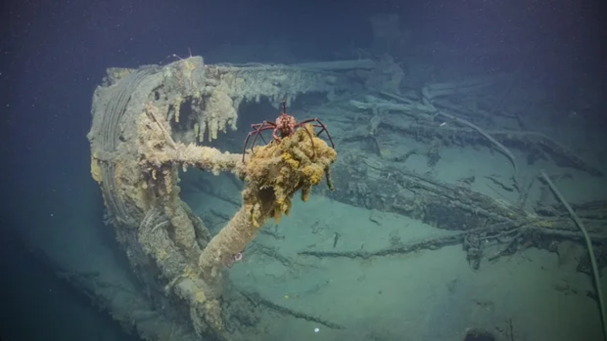 resim-2025-07-17-130202543