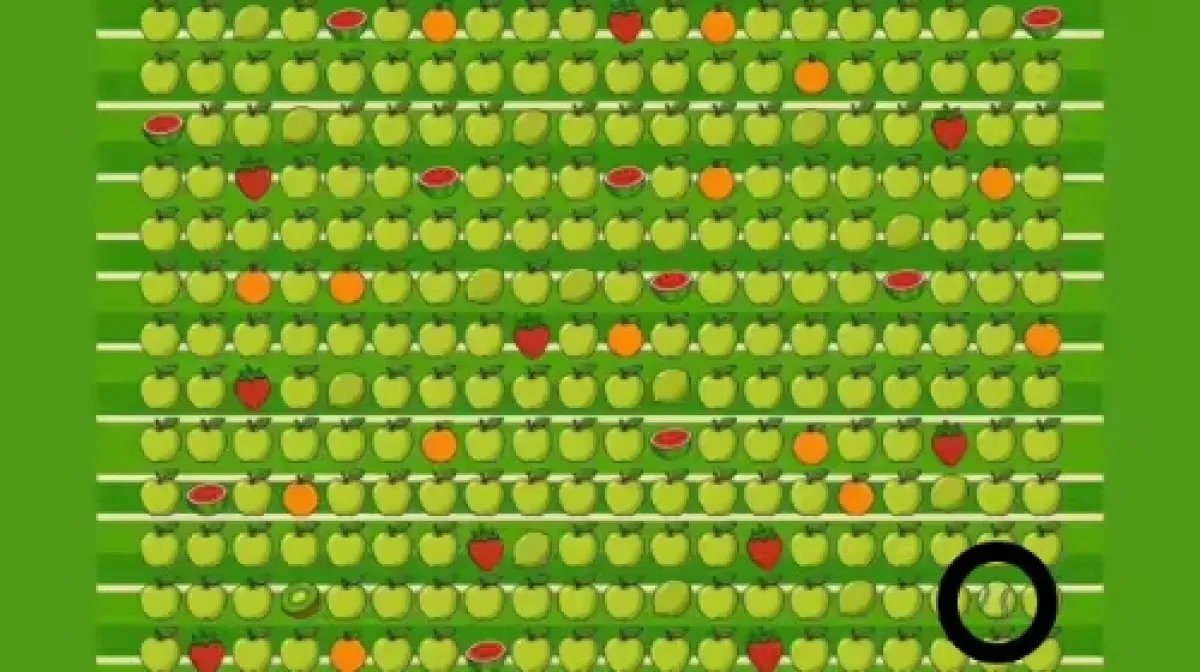 tenis-topu-test-yanit