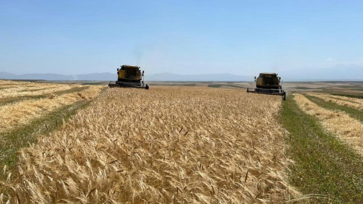 resim-2025-07-18-005555872