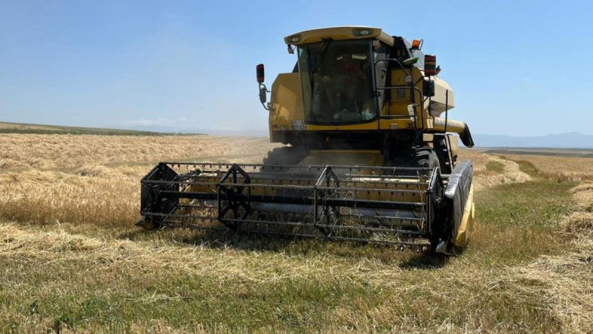 resim-2025-07-18-005644731