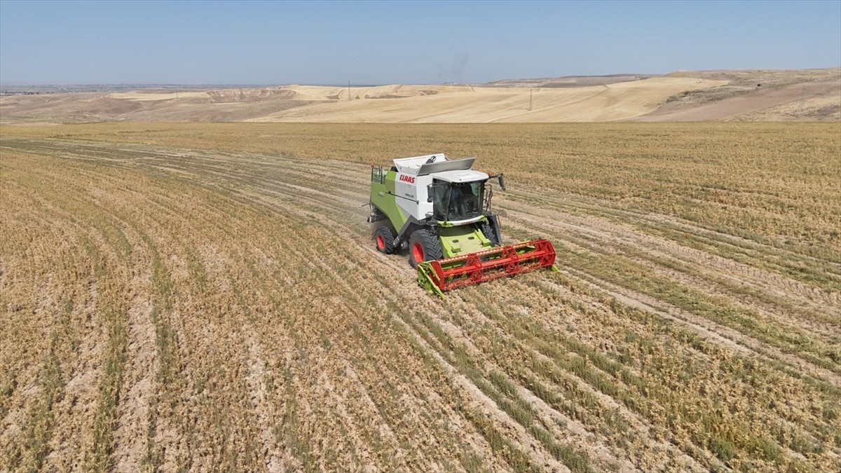 resim-2025-07-18-020141664