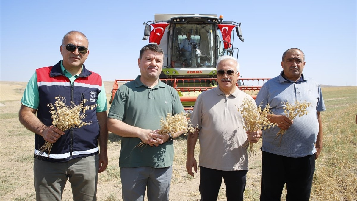 resim-2025-07-18-020156980