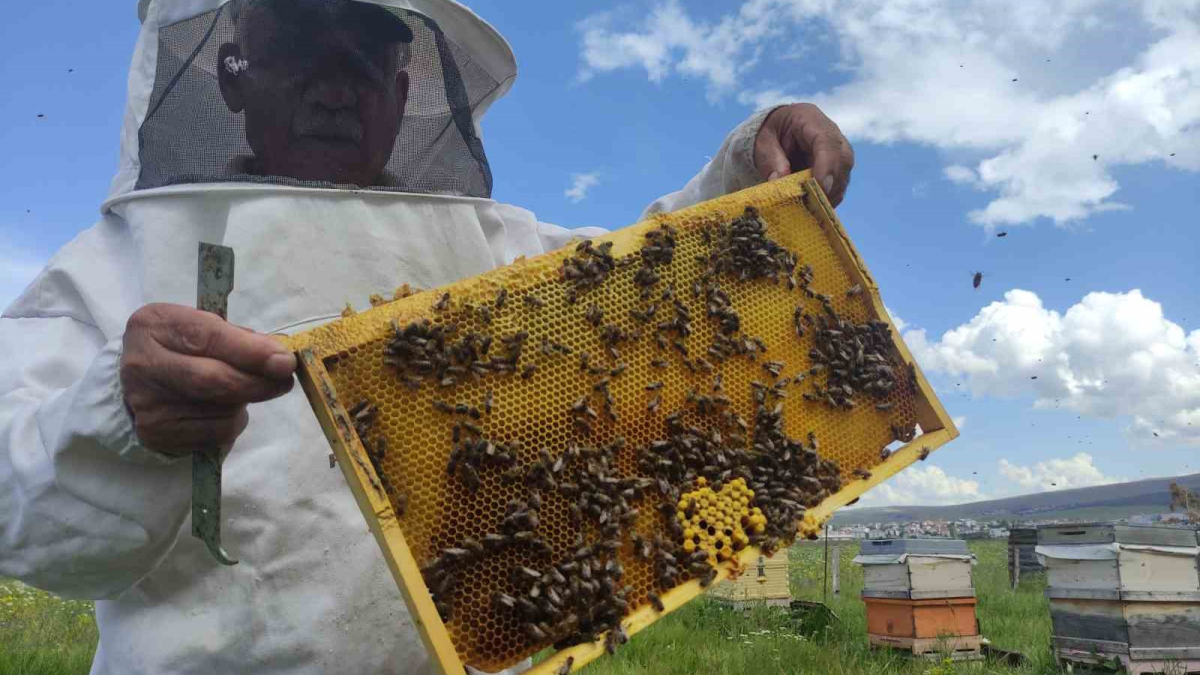 resim-2025-07-18-115312434