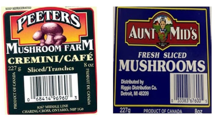 sliced-mushroom-listeria-recall