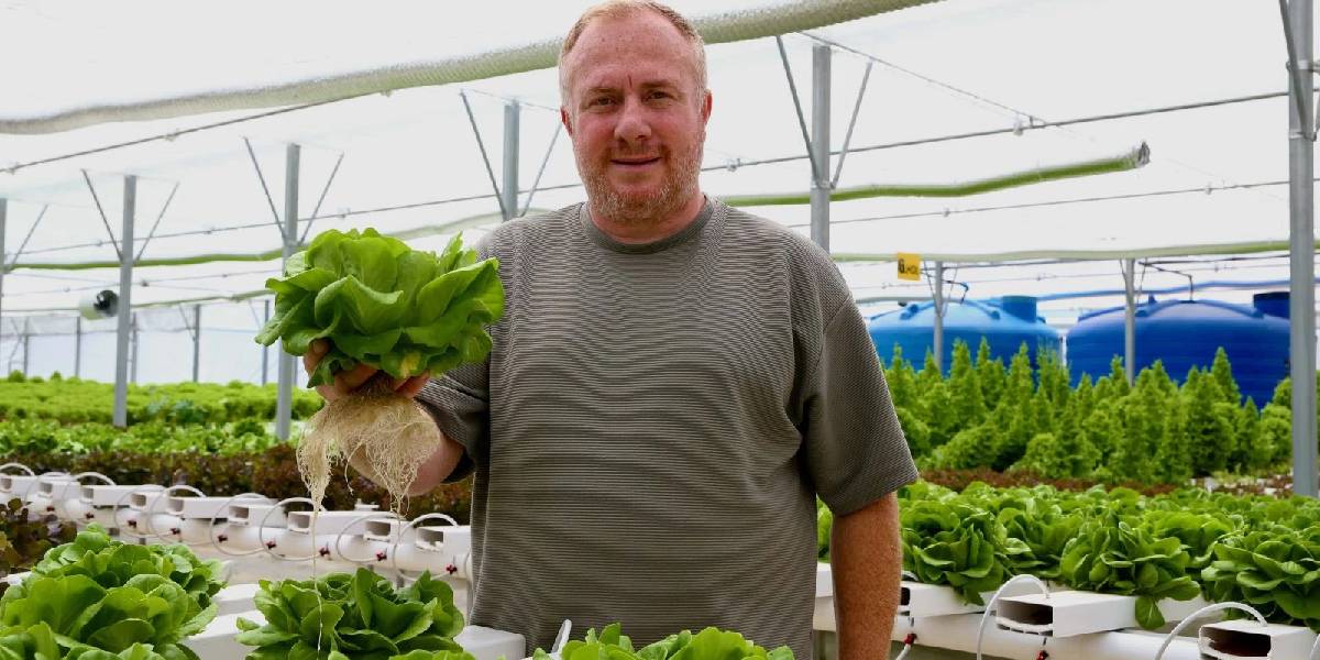 mugla-gocekte-topraksiz-tarim-2