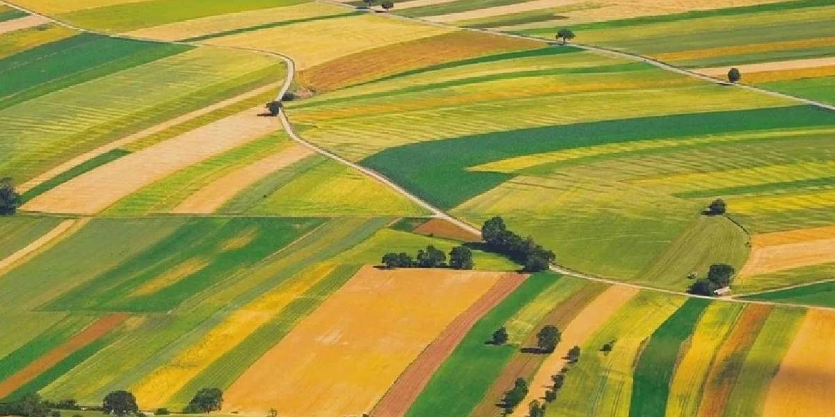 milli-emlak-arsa-satisi-1