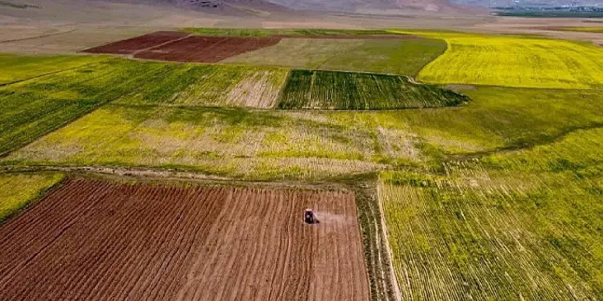 milli-emlak-arsa-satisi-2