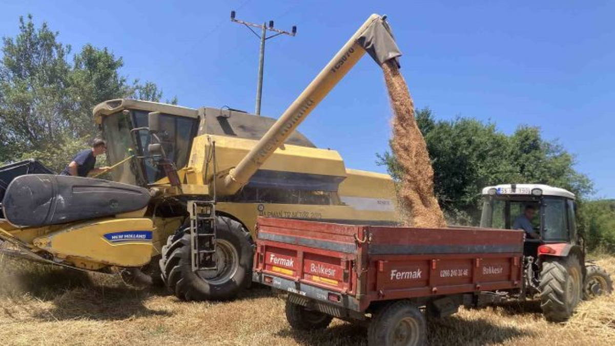 resim-2025-07-21-013727317