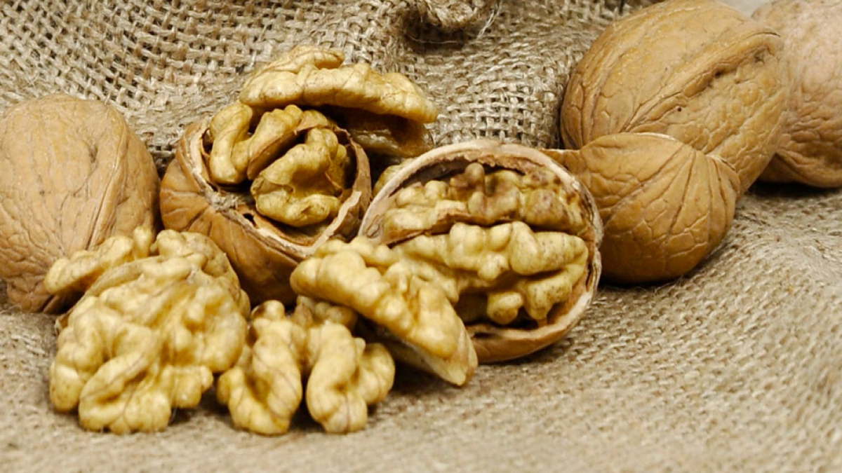 resim-2025-07-21-022953954