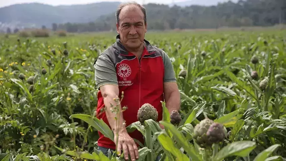 resim-2025-07-21-162145271