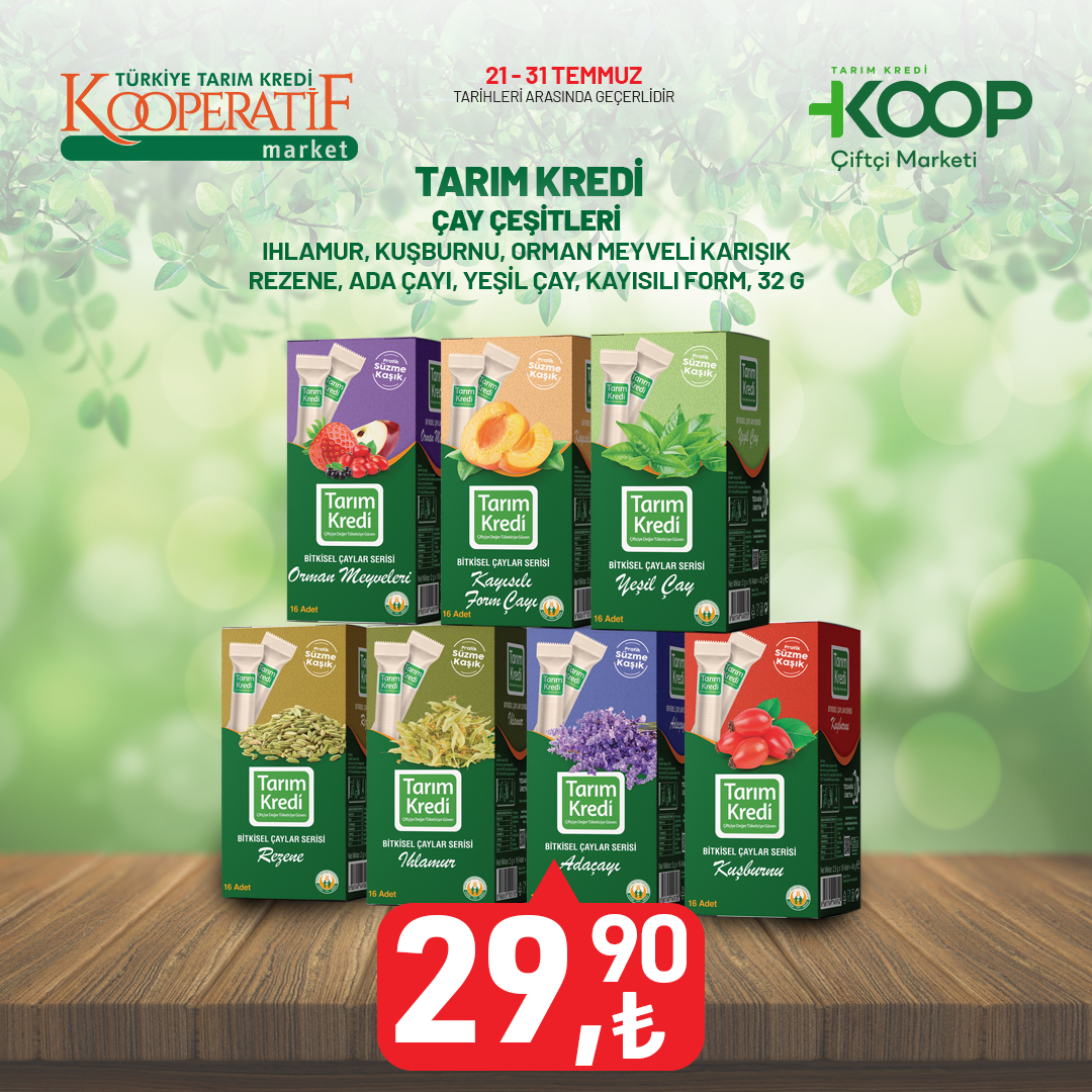 kare-2850.jpg