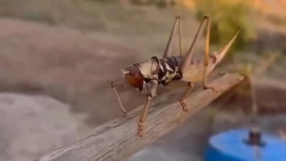 resim-2025-07-22-003228486