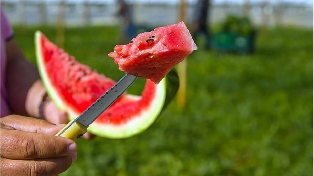 resim-2025-07-22-155506935