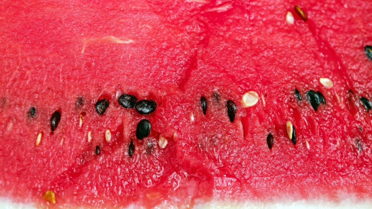 resim-2025-07-22-155800812