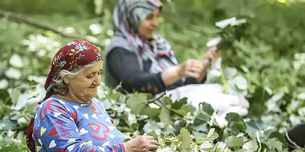 yeni-proje-24.jpg