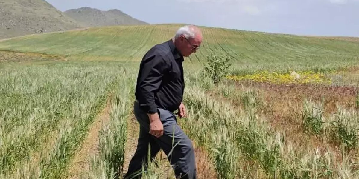 bugday-tarla-bos-kaldi