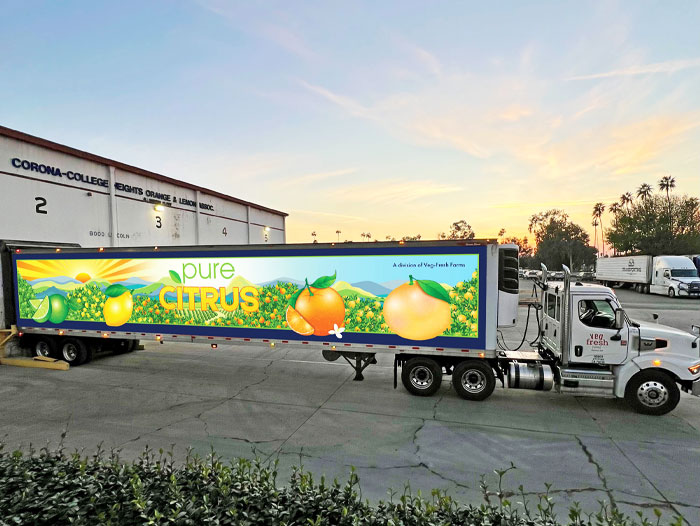 p-veg-fresh-farms-1.jpg