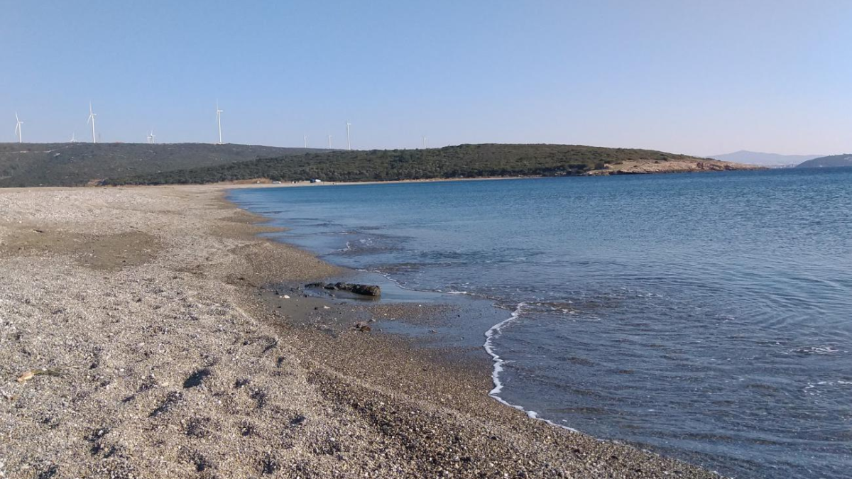 resim-2025-07-23-003520857