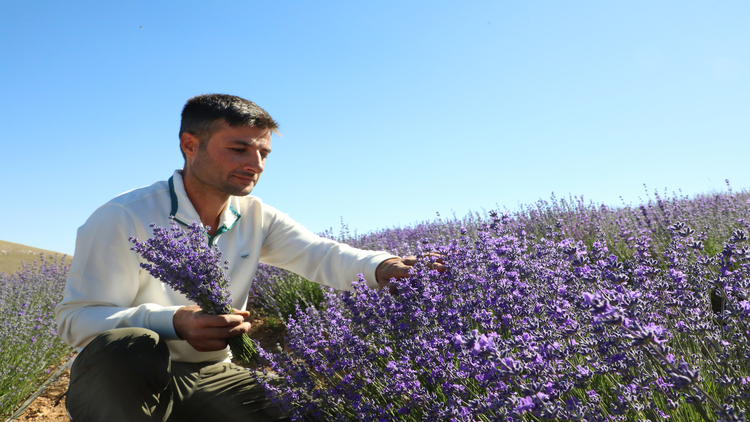 arsiv-23-temmuz-aa-38635212-001