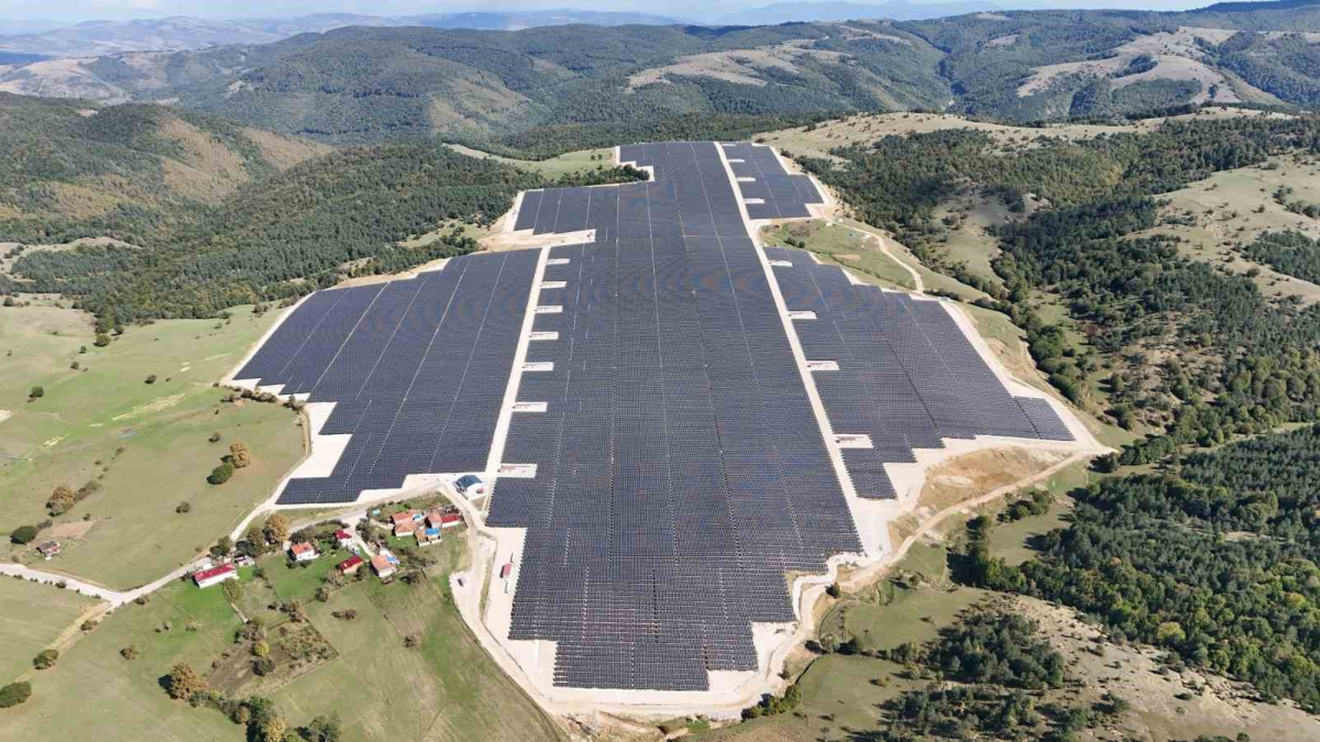 resim-2025-07-24-010817005