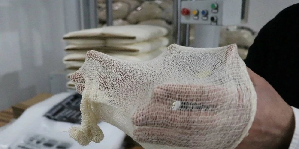 midye-uretim-filesi-1