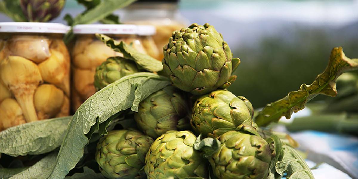 muglada-enginar-uretimi-1