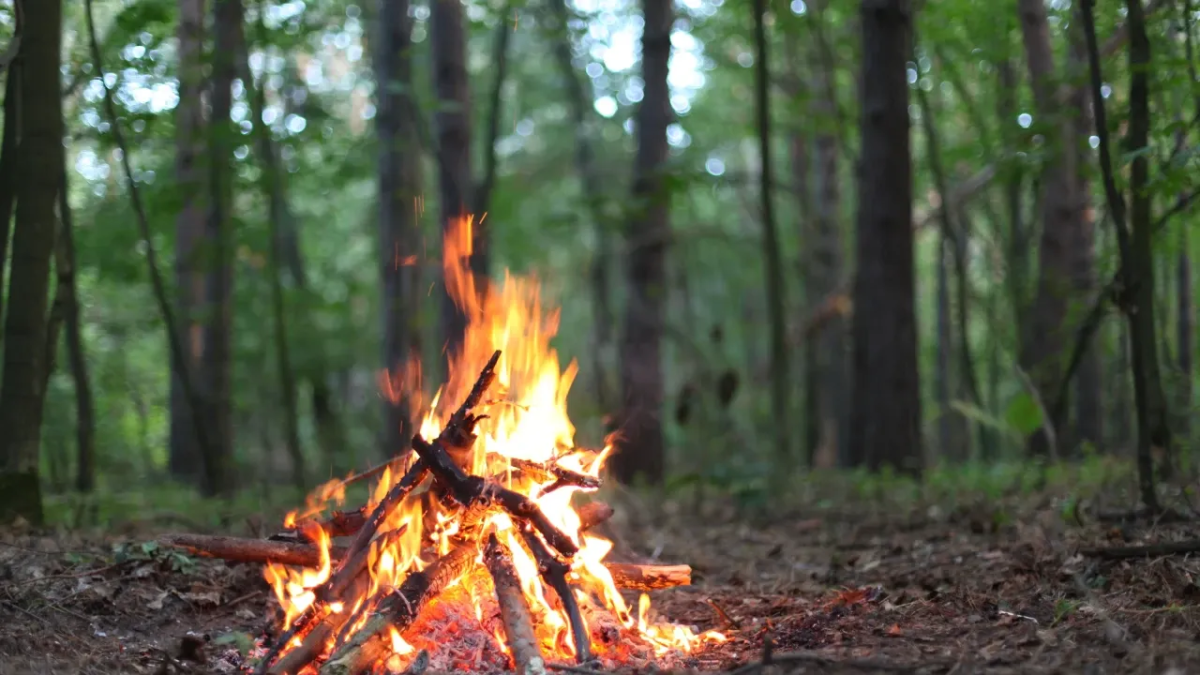 resim-2025-07-25-215758337