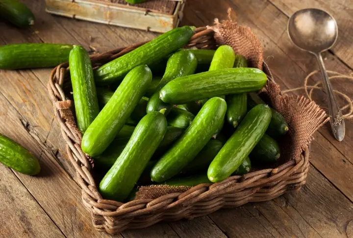 shutterstock-372120607