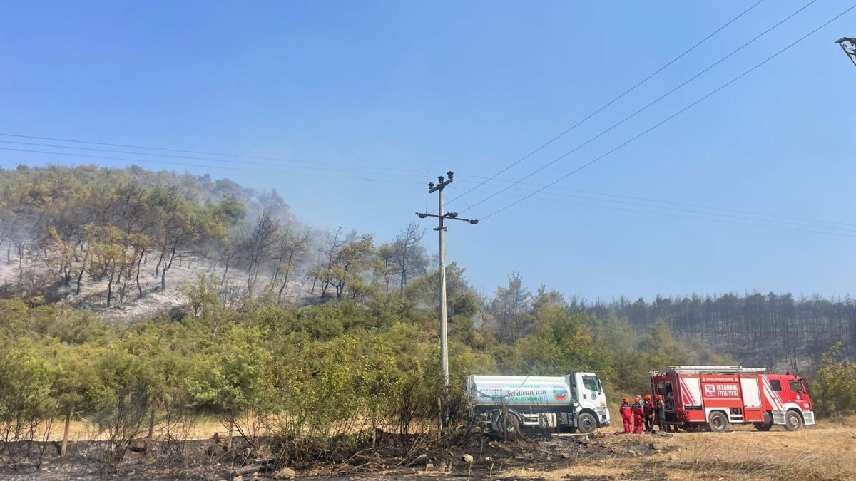 whatsapp-image-2025-07-25-at-12-10-27