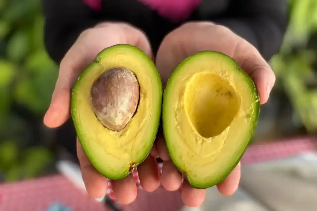 avokado-nasil-lezzetli-olur-puf-noktalari4-1713104114