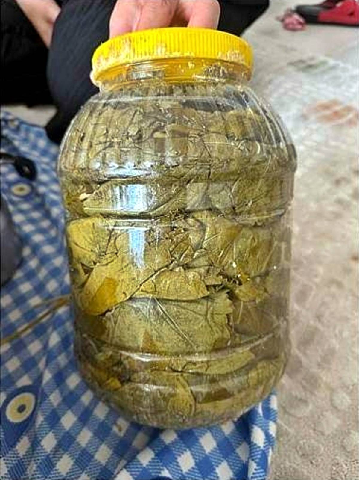 kayseri-asma-yapragi-fiyati-ne-kadar-1