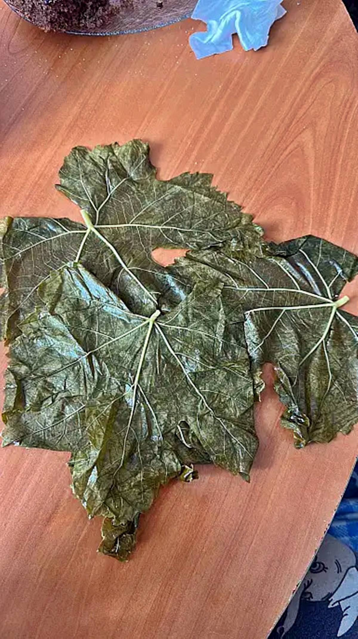 kayseri-asma-yapragi-fiyati-ne-kadar-2