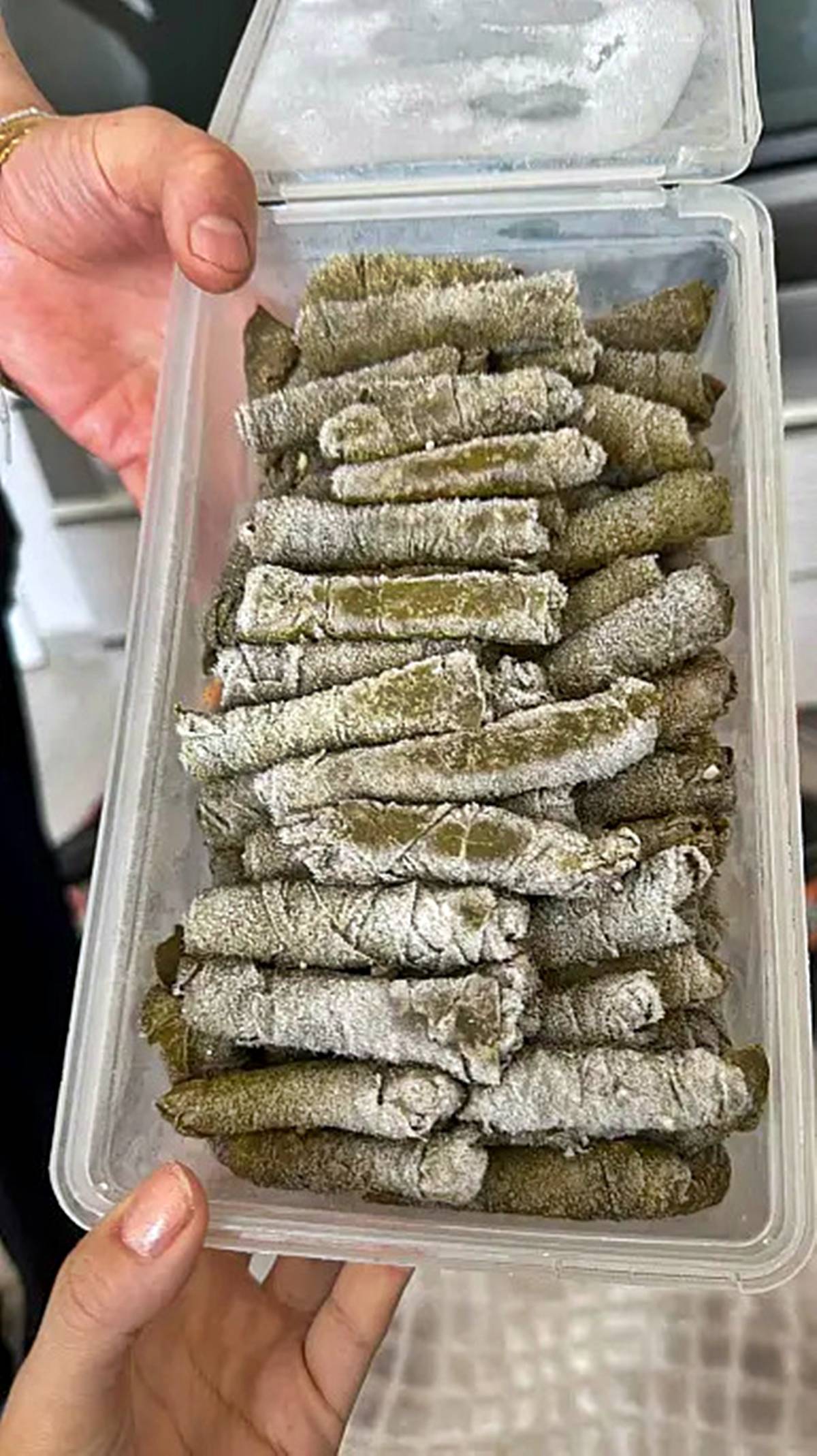 kayseri-asma-yapragi-fiyati-ne-kadar-3