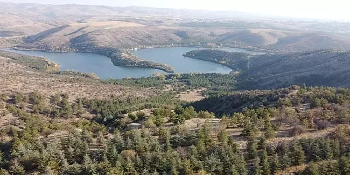 orman-giris-yasak-001.jpg