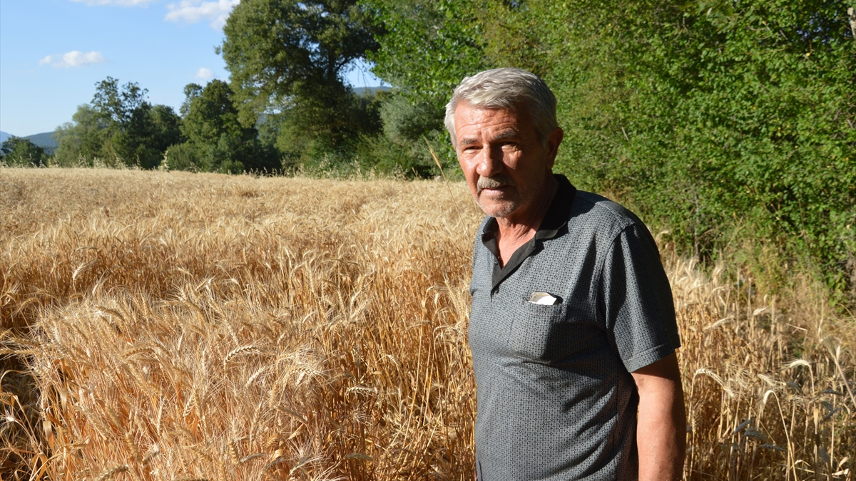 resim-2025-07-26-151300514