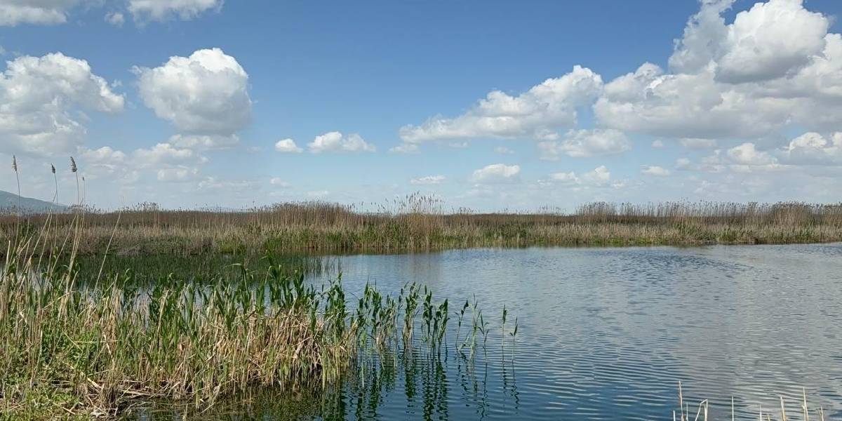 yeni-proje-23-001.jpg