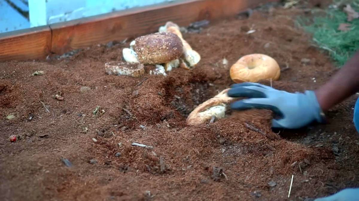 ekmek-gubresi-nedir-bayat-ekmek-topraga-gomulurse-ne-olur