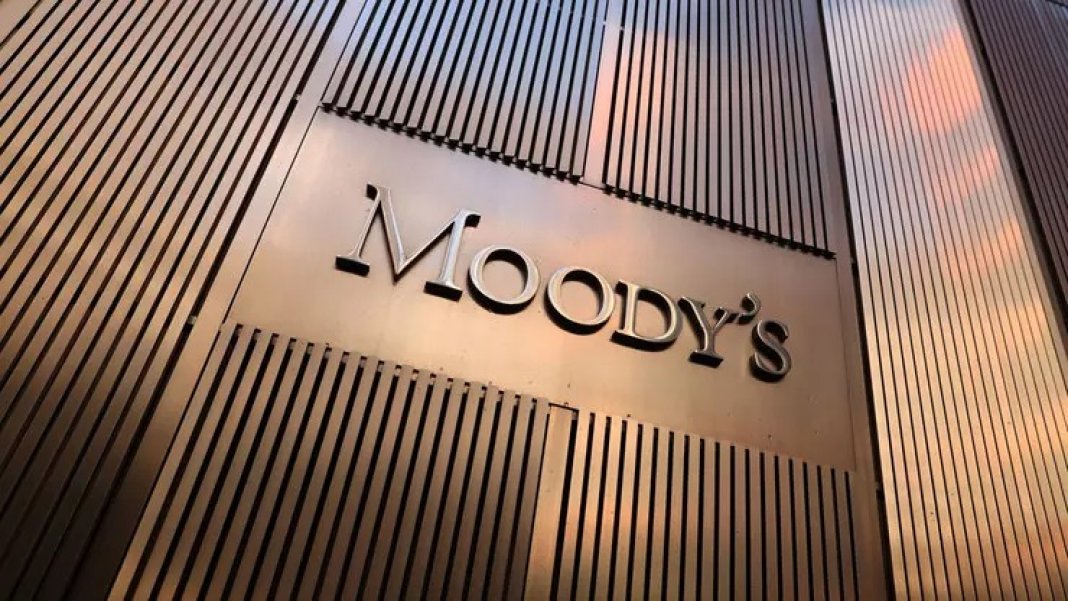 moodys-karari-filiz-eryilmaz-1-001