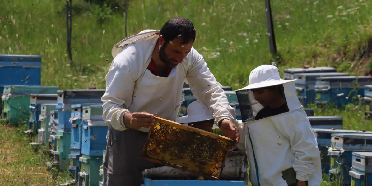 engin-ekinci-ari-sutu