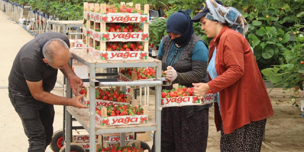 yeni-proje-17.jpg