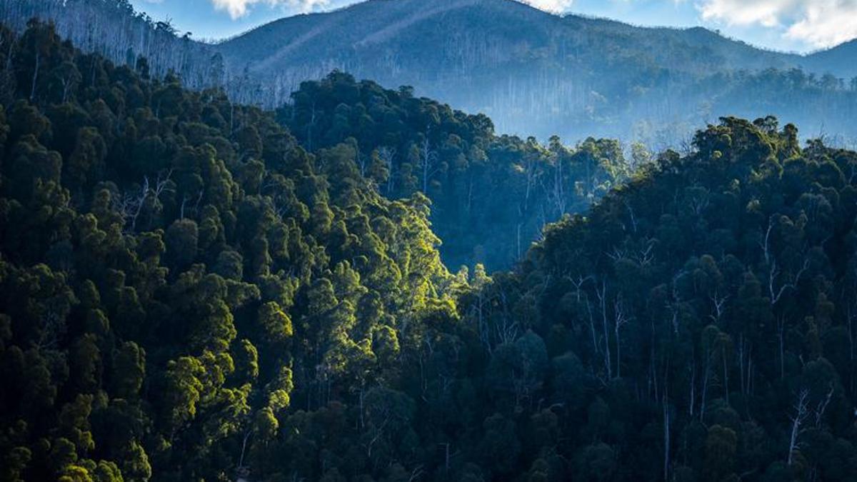 68565d3f952ea299731a7a4e